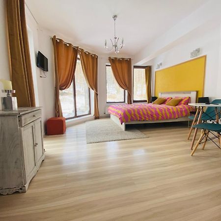 Vila Mama Jana Buşteni Dış mekan fotoğraf