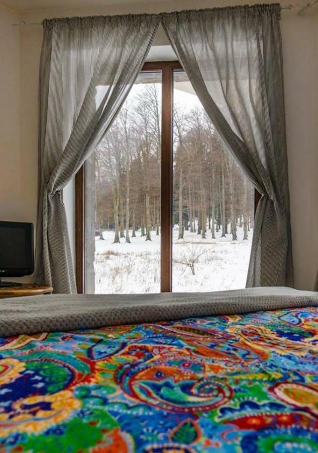 Vila Mama Jana Buşteni Dış mekan fotoğraf